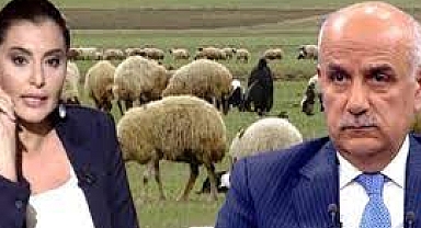 Hande Fırat ve Bakan Vahit Kirişci hakkında suç duyurusu