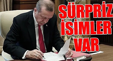 Erdoğan imzaladı: 6 bakanlıkta 14 bürokrat görevden alındı