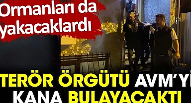 Terör örgütü İstanbul'da bir AVM'yi kana bulayacaktı
