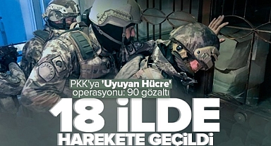 PKK'nın hücre istihbarat yapılanmasına eş zamanlı operasyon: 90 gözaltı.