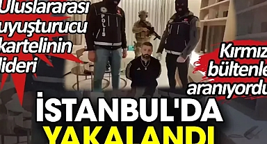 Kırmızı bültenle aranıyordu İstanbul'da enselendi! Uyuşturucu kartellerine ağır darbe .