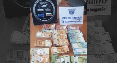 Gizemli Türk şoför 153 bin euro ile sınırda yakalandı