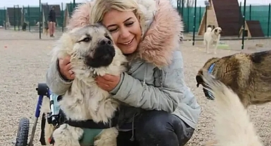 Hasta köpekleri Ankara'ya getirdiği iddiasıyla tutuklanan Buket Özgünlü hakkında tahliye kararı