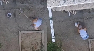 Yavru Kedileri Sopayla Öldüren Cani Tutuklandı