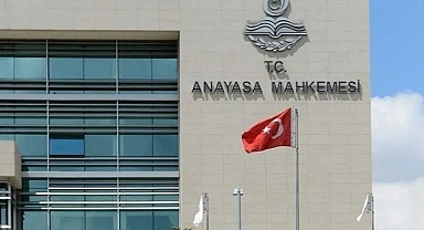 AYM'den sokak köpekleri yasası kararı
