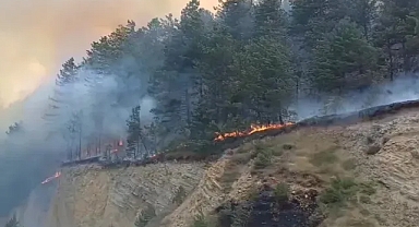 Bolu'da Orman Yangını