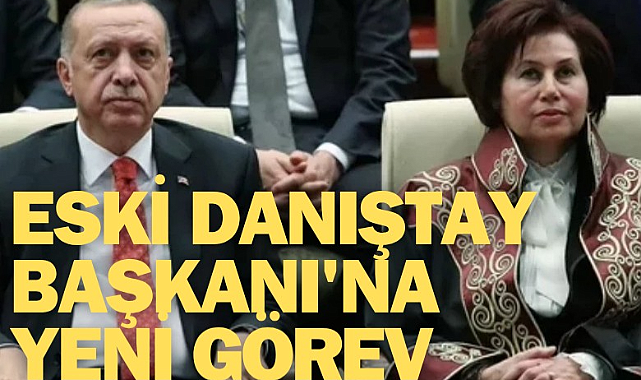 Başkan Erdoğan'dan ,Eski Danıştay Başkanı'na yeni görev